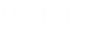 Protokoll